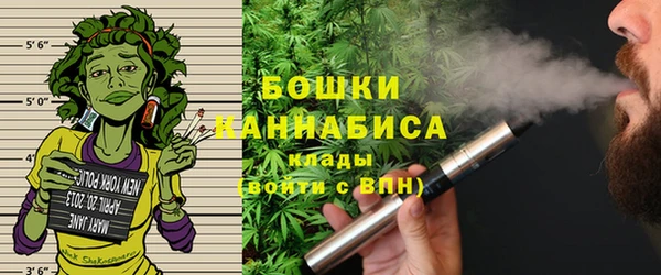 дживик Аркадак