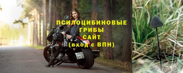 прущая мука Арсеньев