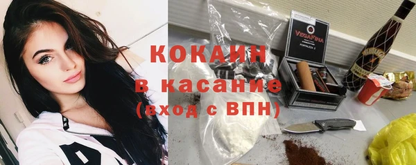 дживик Аркадак