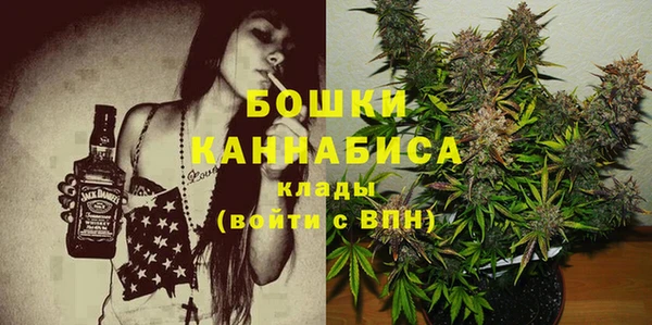 дживик Аркадак