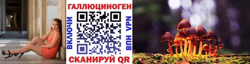 Псилоцибиновые грибы Psilocybe  где купить   МЕГА вход  Нефтекумск 